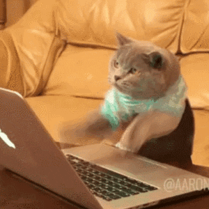 A cat frantically typing on a keyboard