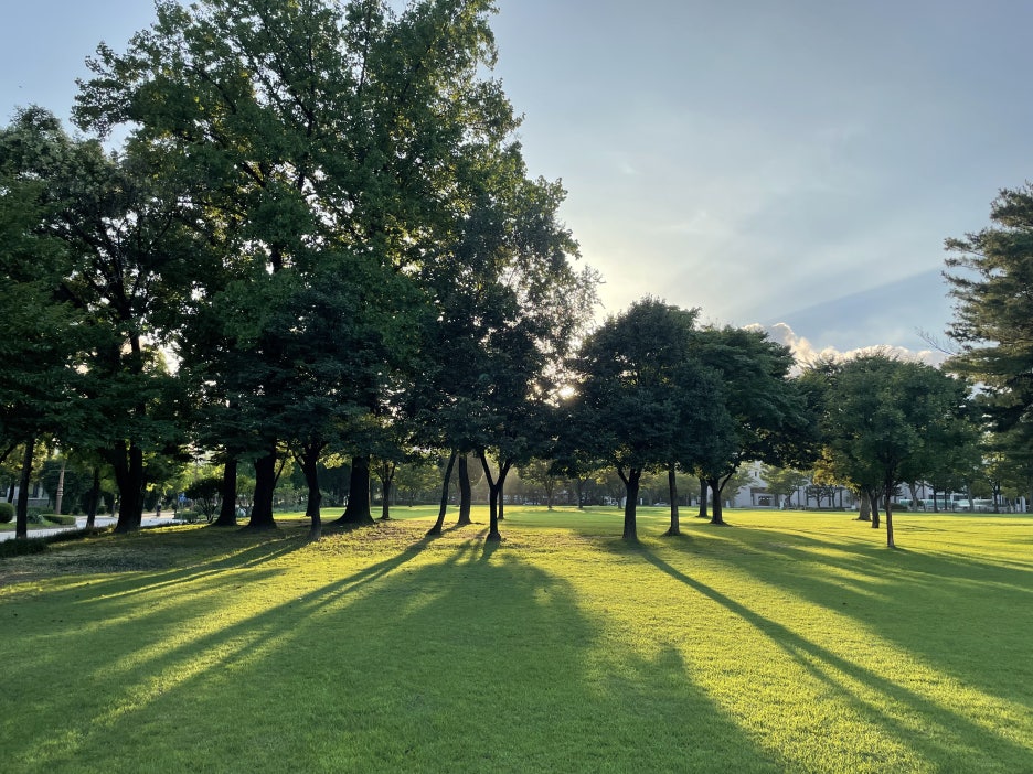 The Retrospective on 2024