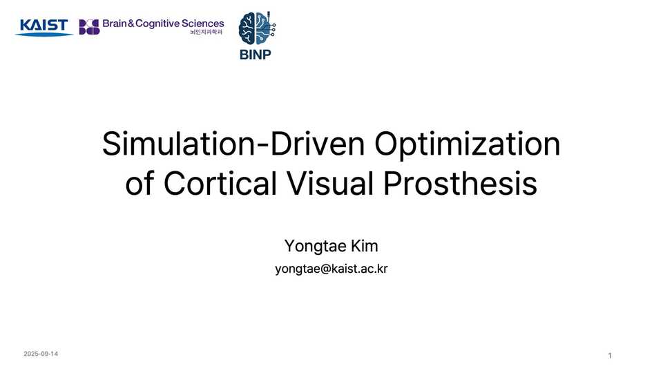 Simulation-Driven Optimization of Cortical Visual Prosthesis